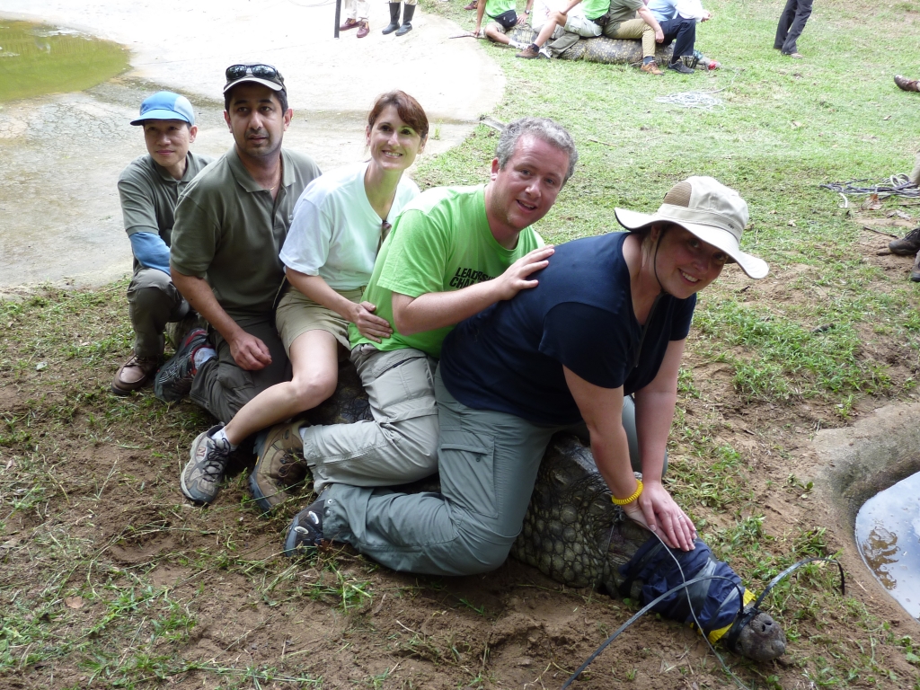 Karen in KwaZulu-Natal, South Africa sitting on a Crocodile holding it still while scientists take it's vitals and measure it.