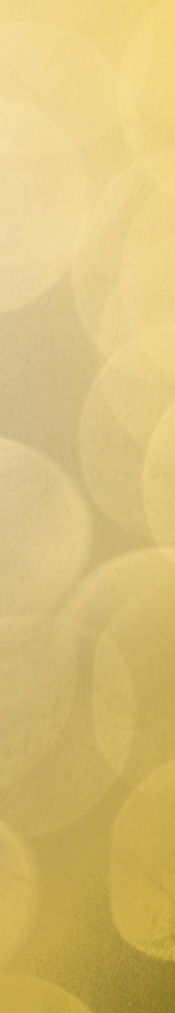 resolutions_introduction_right_sidebar